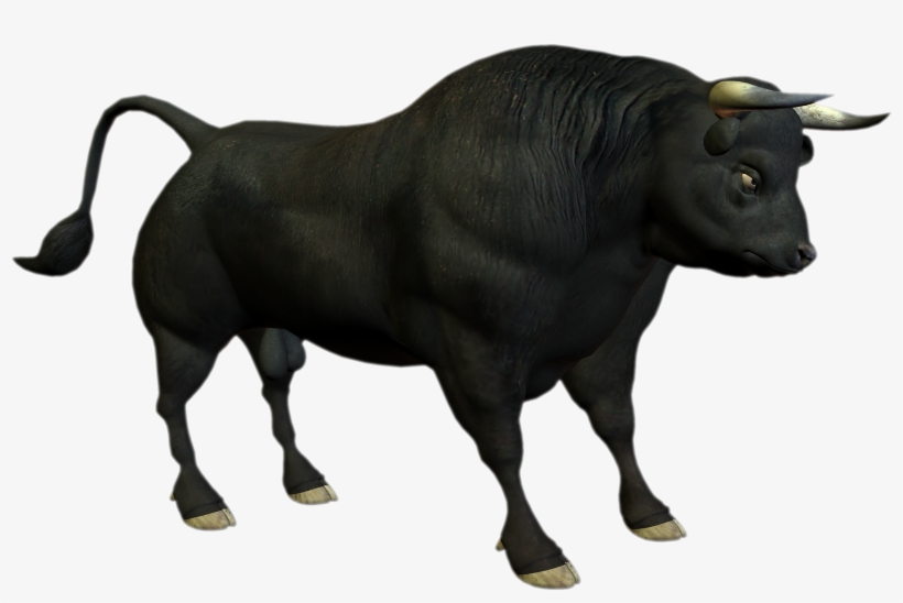 Bull Png Photo - Bull Png, transparent png