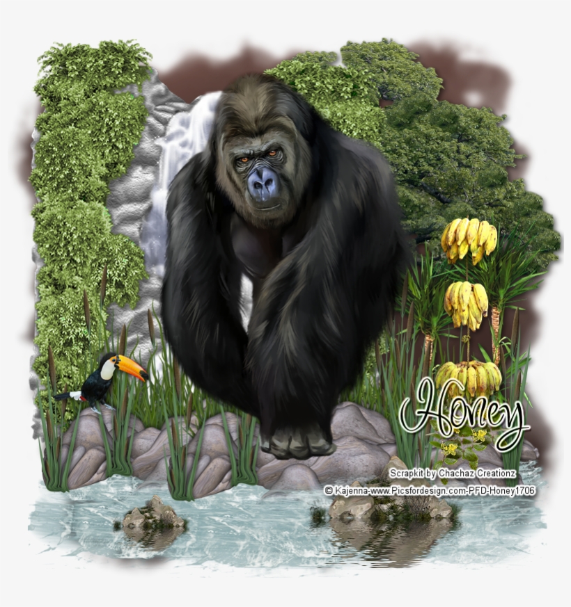 Kong By Honey1706 On Deviantart - Zazzle Gorilla Barely There Iphone 6 Plus Hülle, transparent png