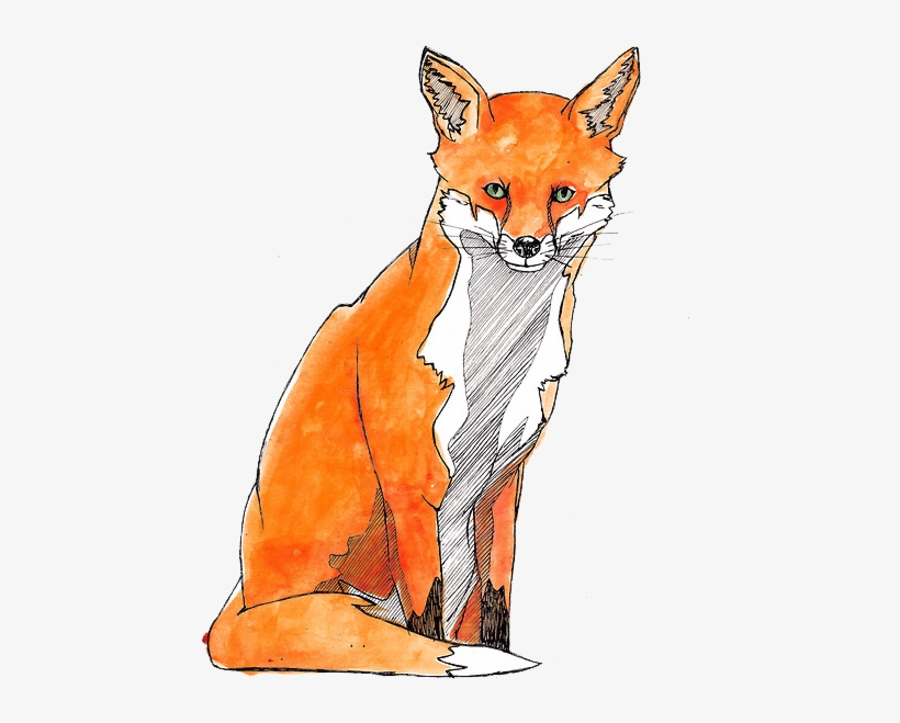 Watercolor Painting Red Fox - Watercolor Painting, transparent png