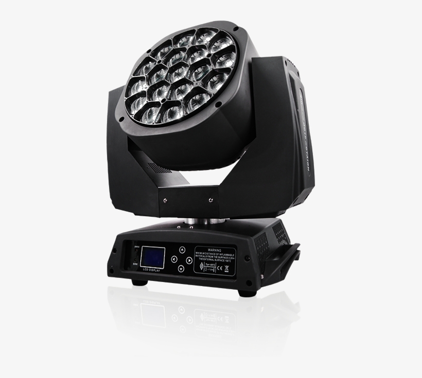 Stage Light For Your Bussiness - Asian Giant Hornet, transparent png