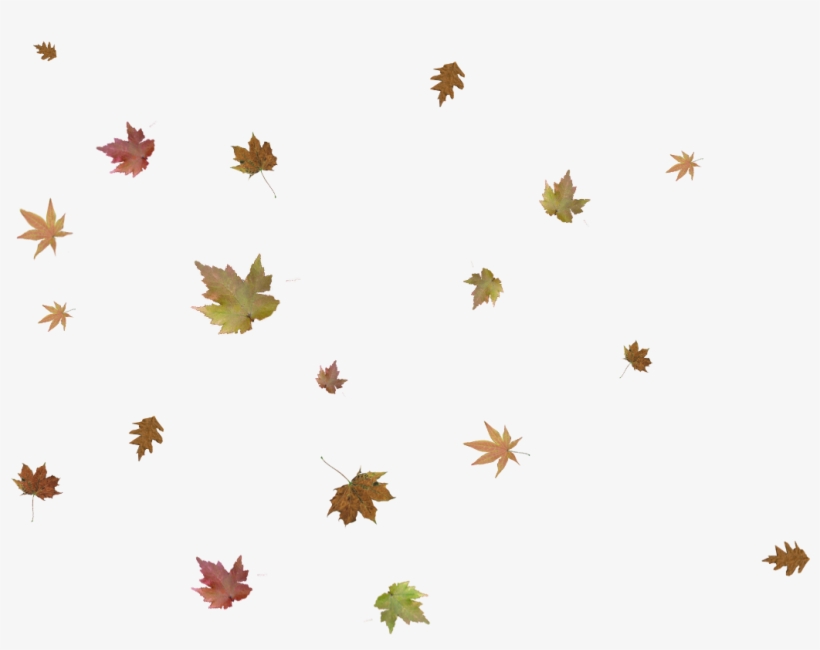 Falling Autumn Leaves Png Pic - Crossroads Church, transparent png