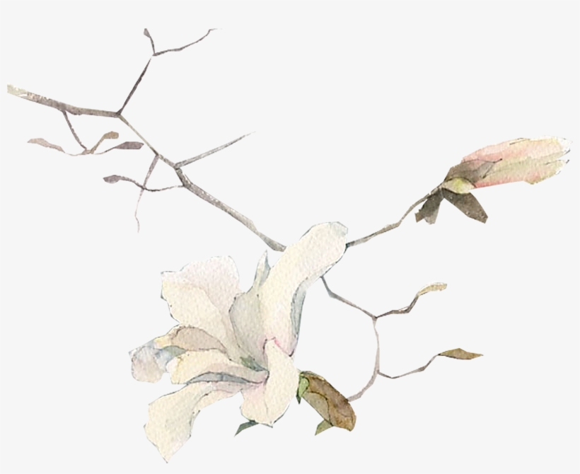 Clip Transparent Stock Painting Art Illustration Hand - Painting, transparent png