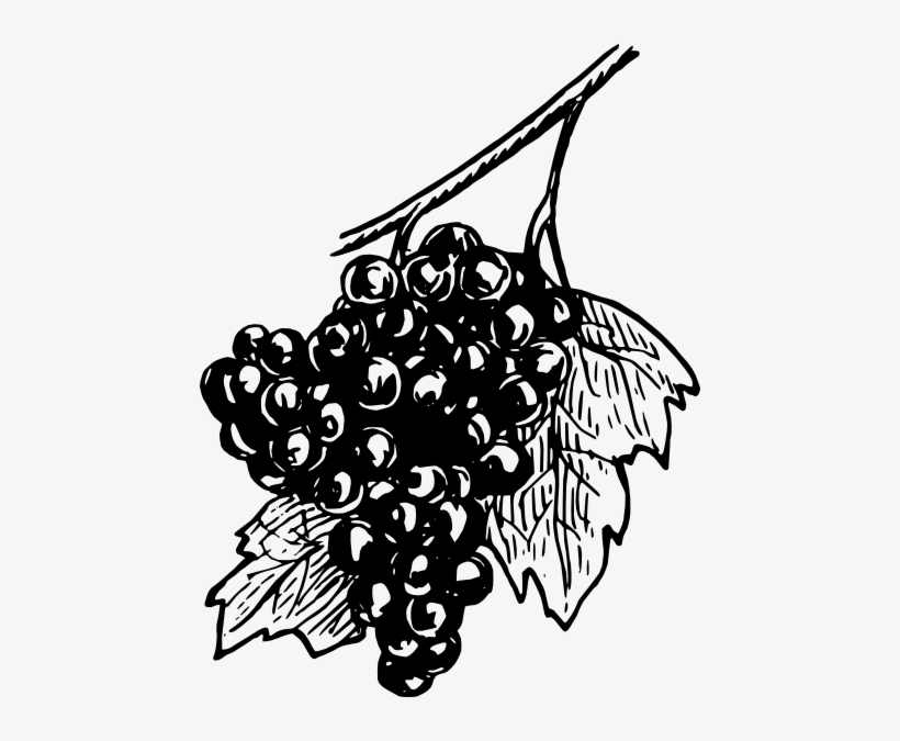 How To Set Use Grapes Svg Vector, transparent png