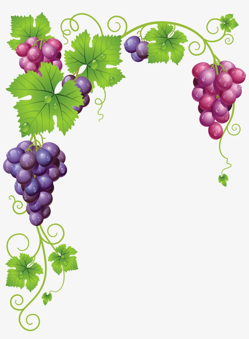 Grape Vector Watercolor - Manual De Viticultura, Enologia Y Cata / Manual, transparent png