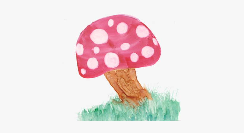 Local Artist Adds Flair To New Children's Book Series - Shiitake, transparent png
