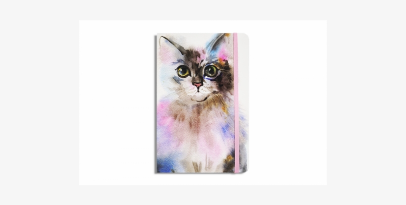 Tabby Cat, transparent png