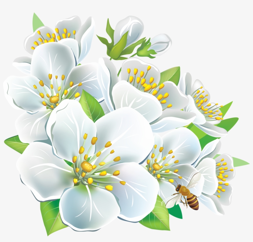 Large White Flowers Png Clipart, transparent png