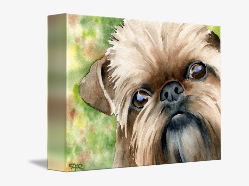 "brussels Griffon" By David Rogers, Fresno // - Griffon Bruxellois, transparent png