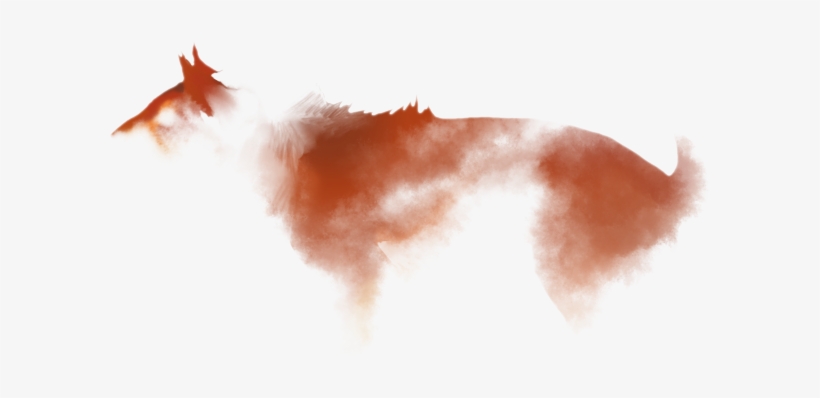 Stallion, transparent png