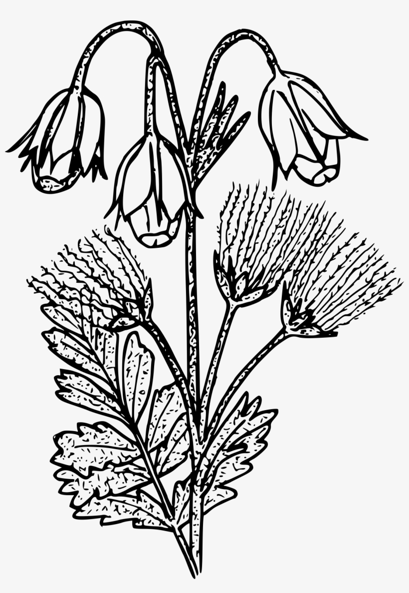 This Free Icons Png Design Of Prairie Smoke, transparent png