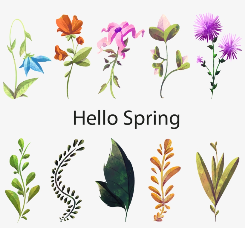 Floral Design Watercolor Painting Flower Plant - Flower, transparent png