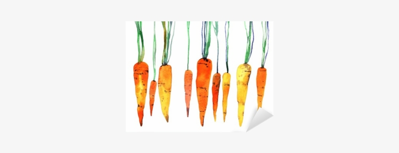 Carrot Watercolor, transparent png