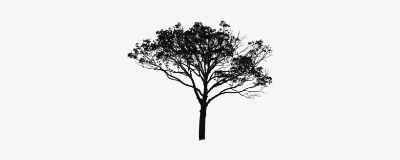 Tree Vector Black And White, Tree Vector Clipart, Tree - Manfred-symphonie H-moll Op.58 Sacd Hybrid, transparent png