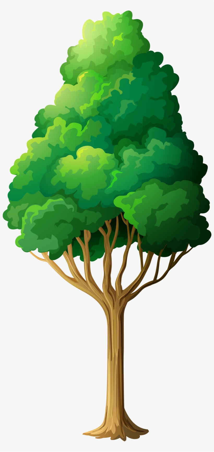 Clip Art Trees Png, transparent png