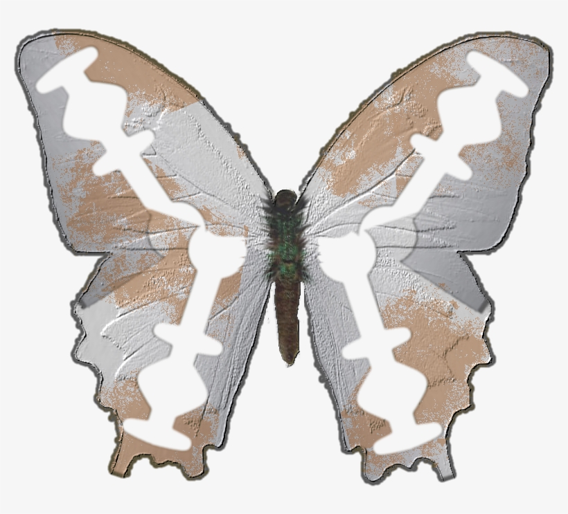 Razorblade Butterfly - Papilio Machaon, transparent png
