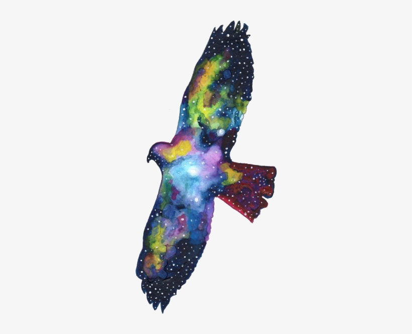•transparent• Shared By Très Cool On We Heart It - Red Tail Hawk Watercolor, transparent png