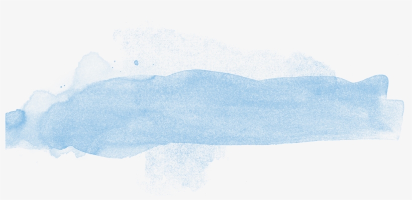 What Do You Call An Ant - Sketch, transparent png