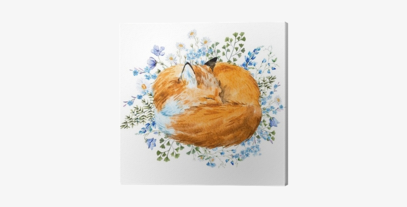 Watercolor Sleeping Fox, transparent png