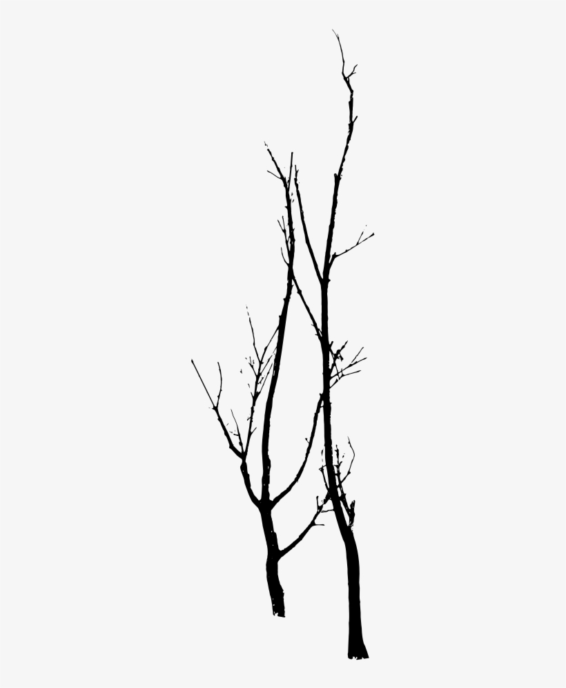 Dead Trees Vector Royalty Free Clipart, Tree Silhouette, - Dead Tree Silhouette Vector, transparent png