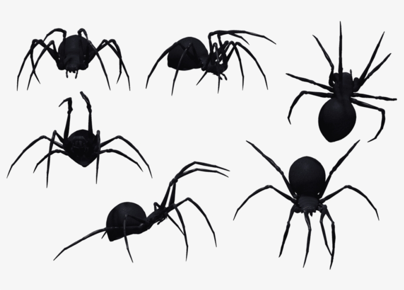 Free Png Spider Png Images Transparent - Spiders Png, transparent png