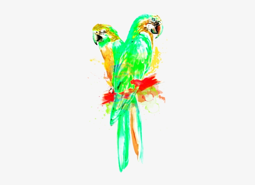 It's Good To Know - Nassau, transparent png