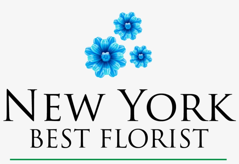 New York Best Florist - Encyclopedia Of New York City: Second Edition, transparent png