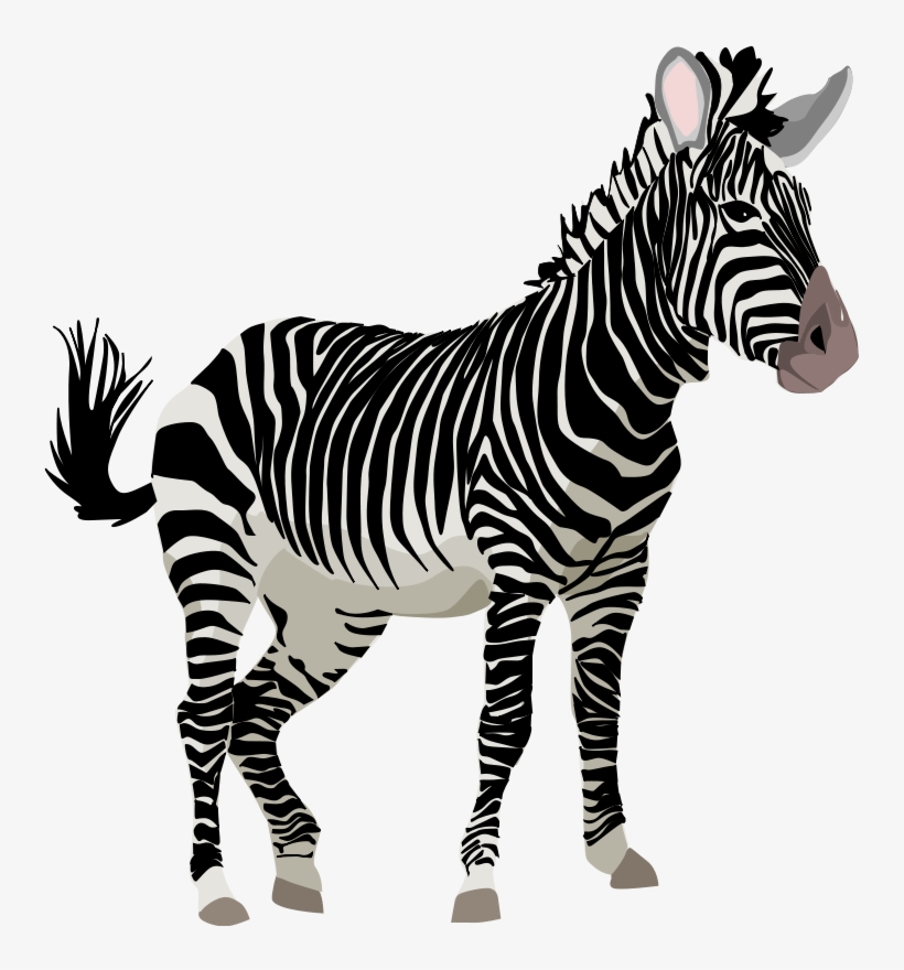 Watercolor Animals Clipart Zebra Rhino Snake - Zebra Clipart, transparent png