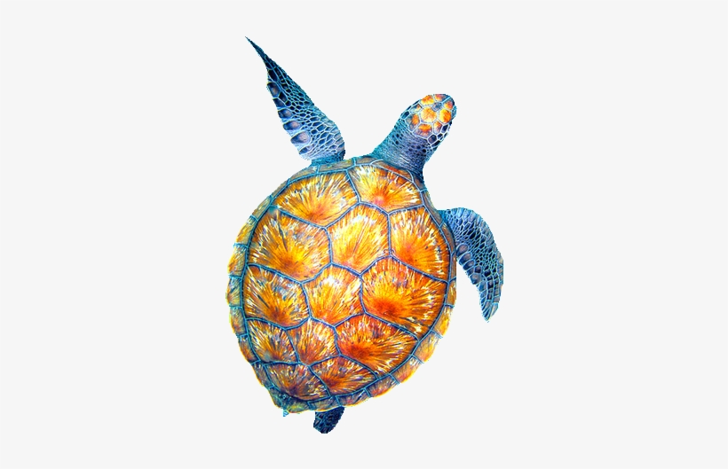 Sea Clipart Tumblr Transparent - Drawing, transparent png