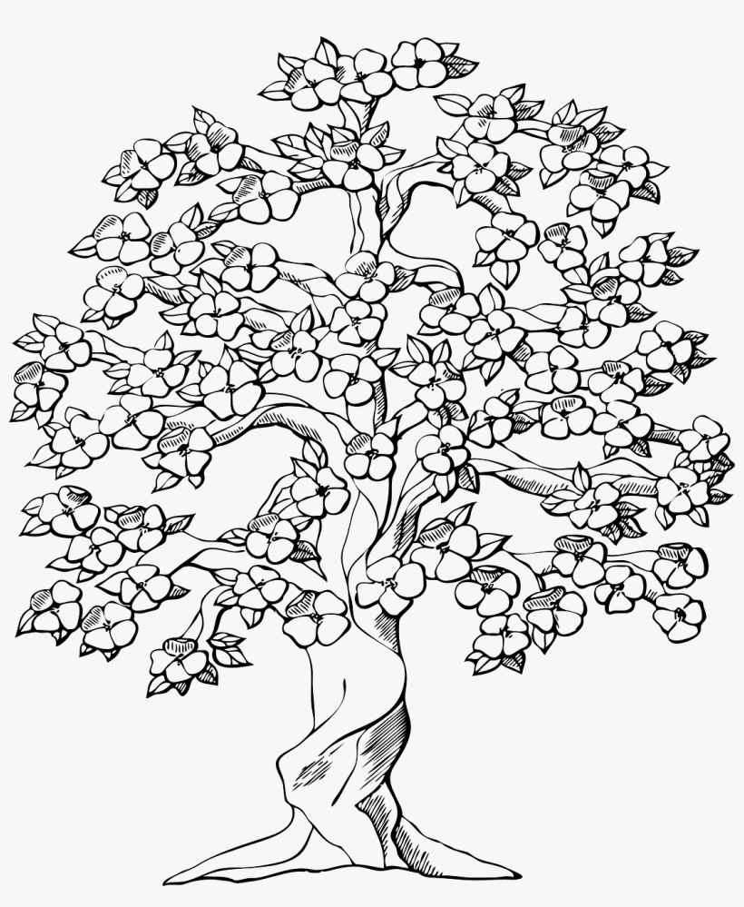 Large Hand Drawn Watercolor Tropical Plants Set Royalty - Big Family Tree Drawing, transparent png