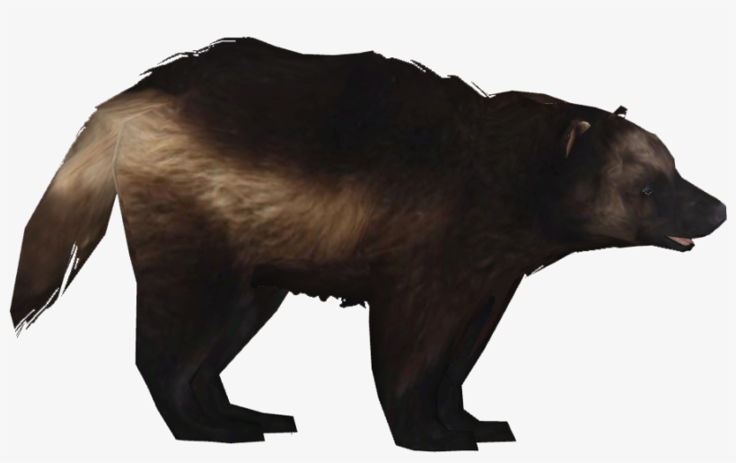 Clip Athamus Zt Download Library Wiki Fandom Powered - Wolverine, transparent png