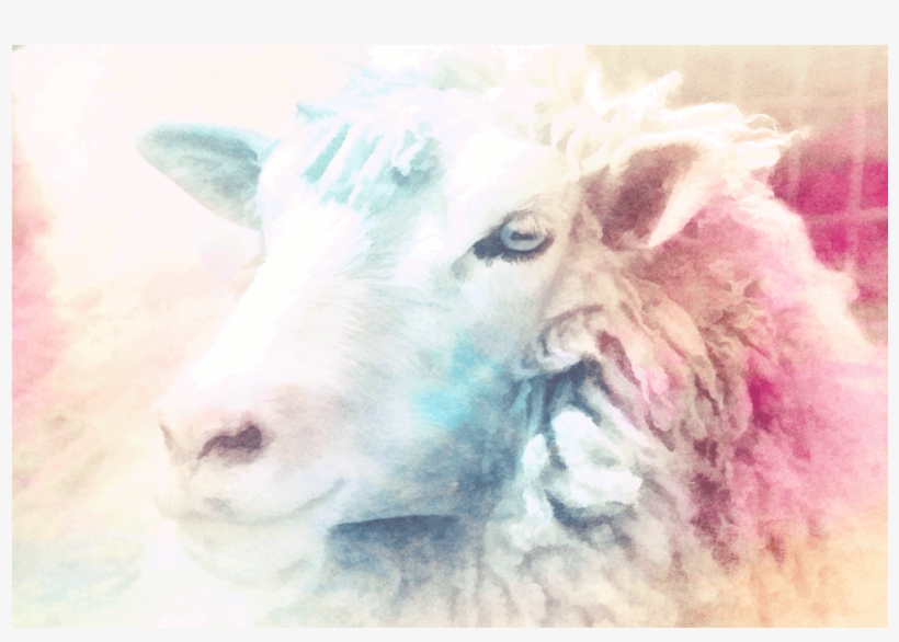 Watercolor Sheep Watercolor Sheep Watercolor Sheep - Sheep, transparent png