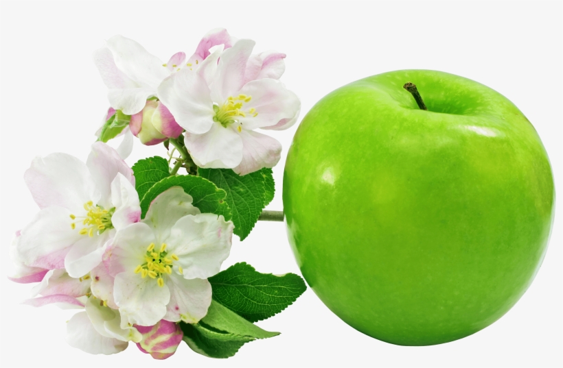 Flower Of Apple Fruit, transparent png