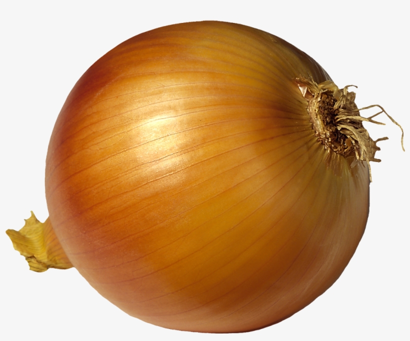 Visit - Onion, transparent png