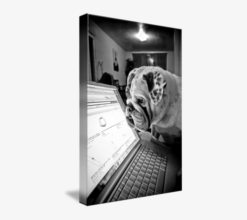 Norfolk, Virginia // As Liz Surfs Amazon For Christmas - Bulldog, transparent png