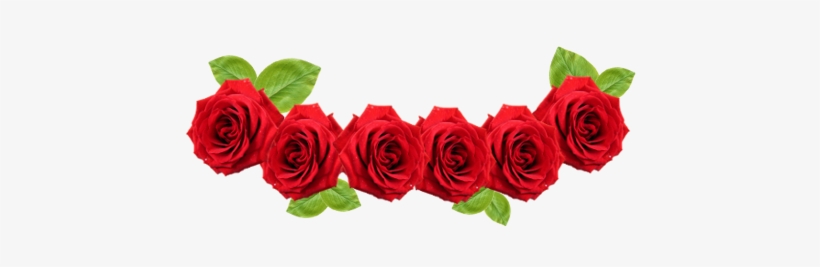 Red Rose Flower - Red Flower Crown Transparent, transparent png