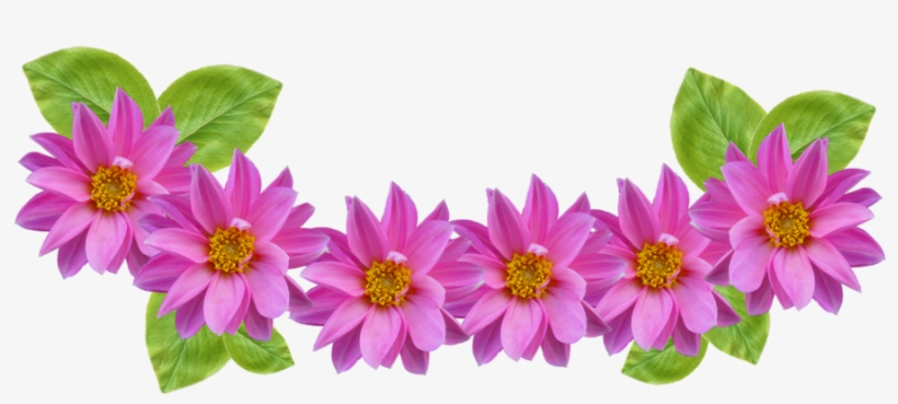 Collection Of Headband High Quality Free Snapchat Png - Flower Crown Png Transparent Free, transparent png