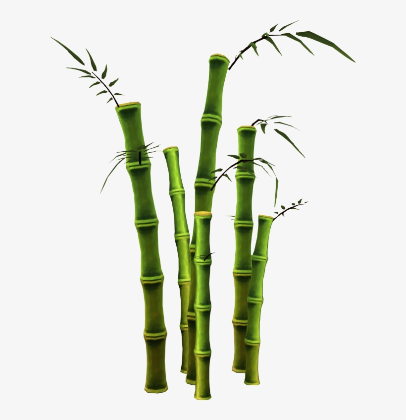 Bamboo Png - Free Bamboo Tree Png, transparent png