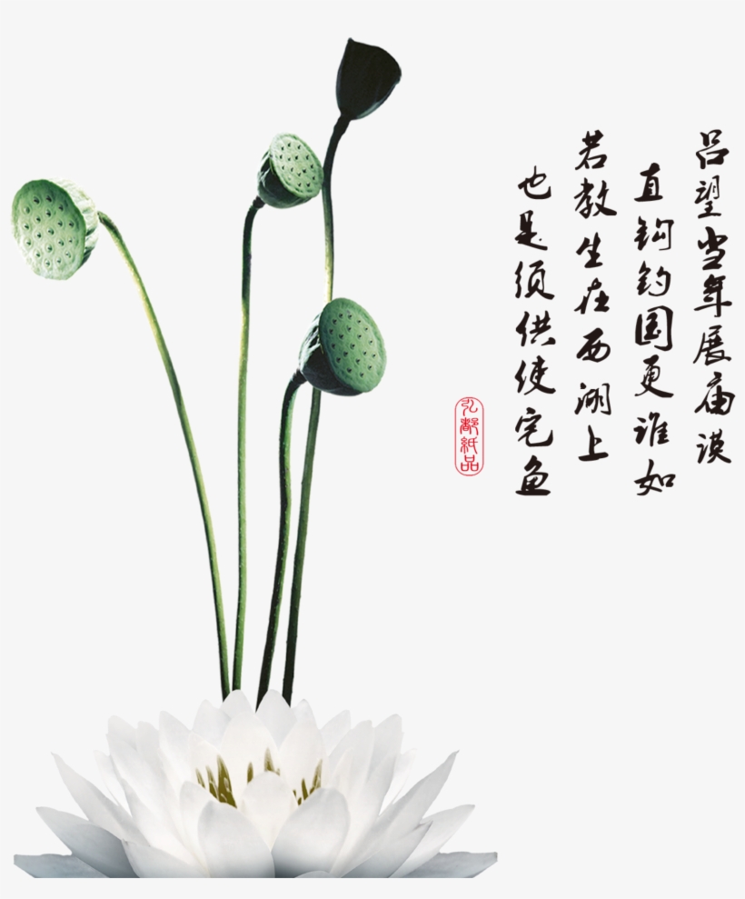 This Graphics Is Painted Clear Lotus Flower Element - Wall Stickers Sweet Ink Painting Pattern Removeable, transparent png