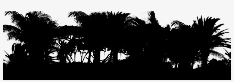 File - Trees - White And Black Trees Png, transparent png