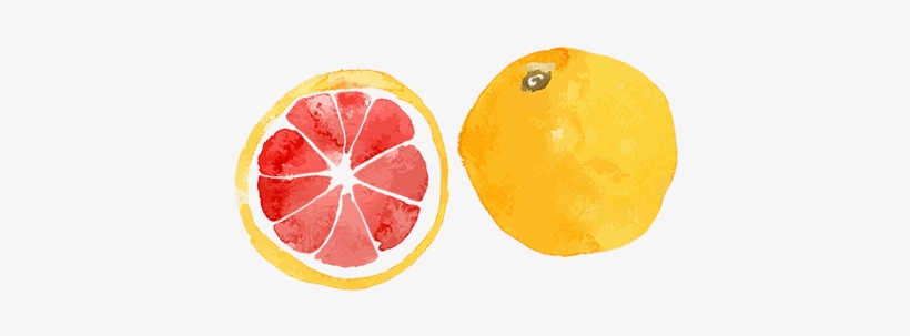 Meal Planning And Grocery List: Meal Planner, transparent png