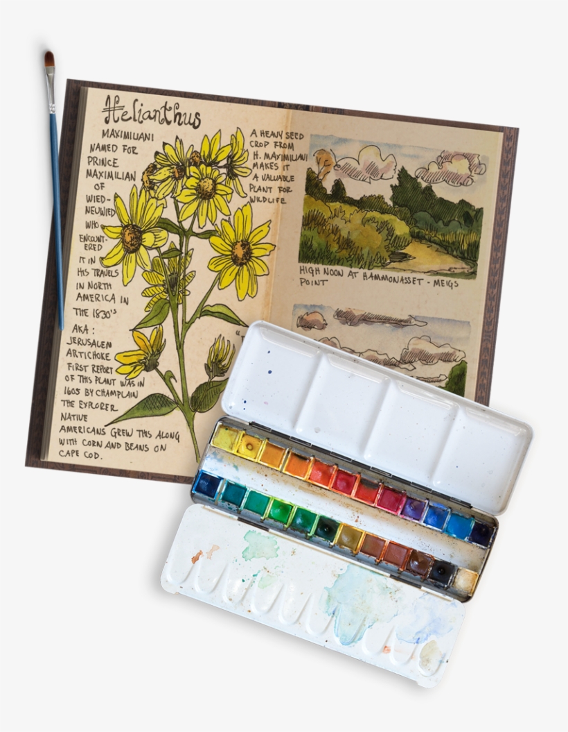 Nature Journal Basics Three Easy Steps To Get You Started - Nature, transparent png