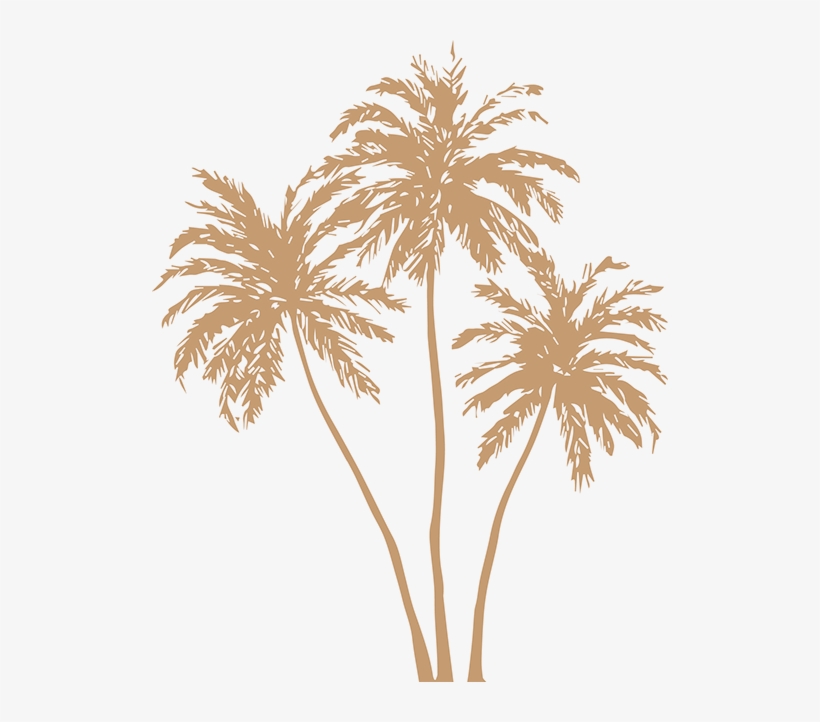 Collection 102+ Background Images Gold Palm Tree Wallpaper Superb