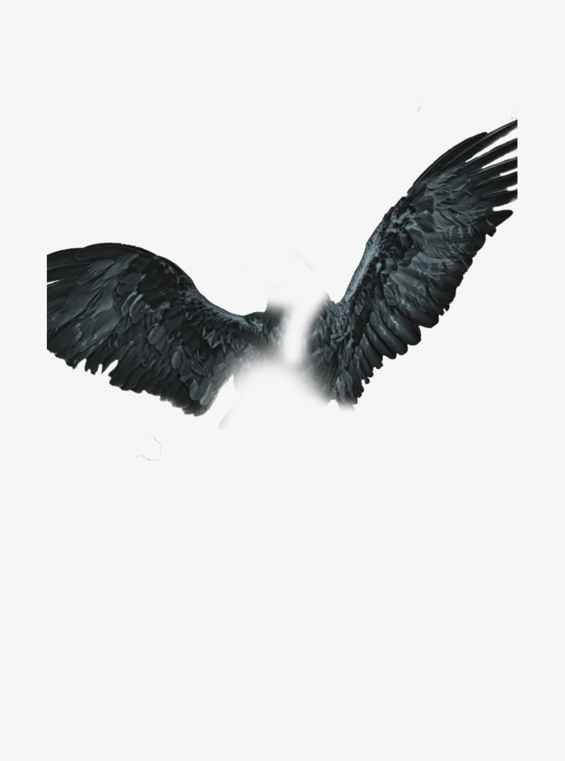Wing Png Cb Background Download - Wings Png, transparent png