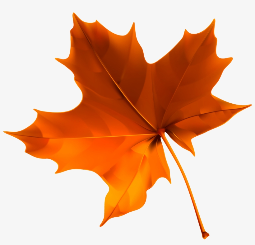 Fall Png, transparent png