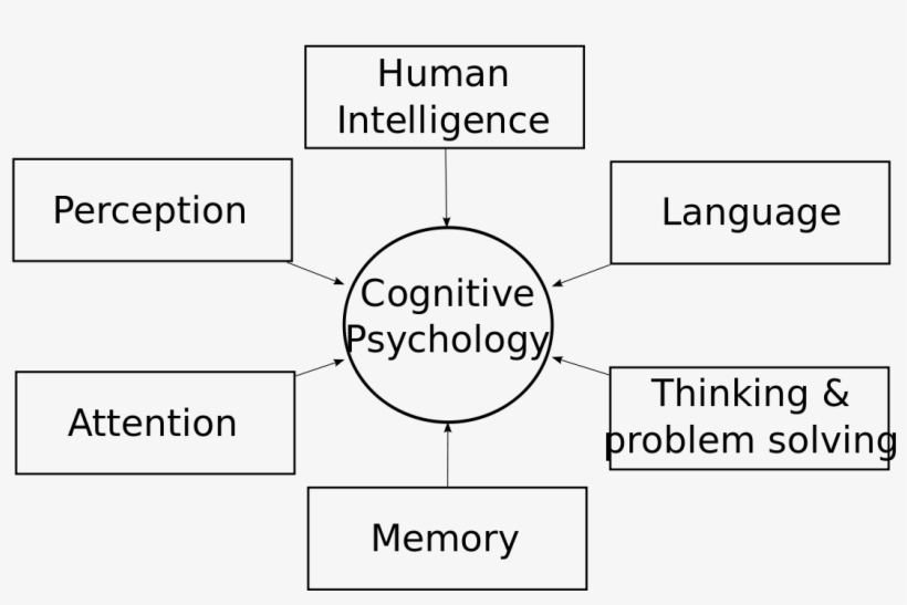 Areas Of Cognitive Psychology, transparent png