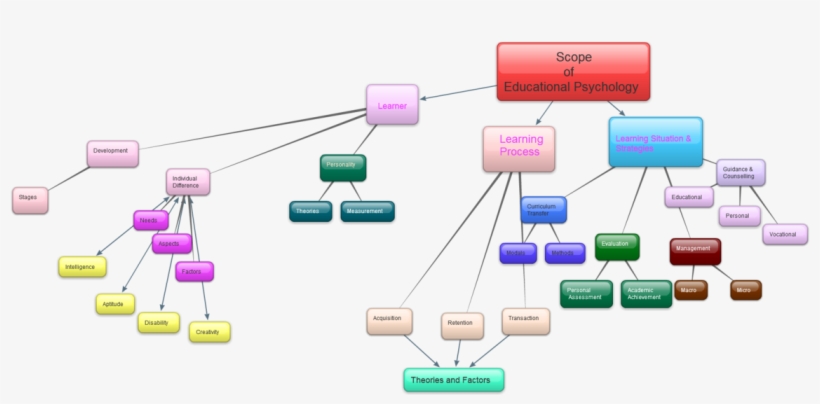 Branches Of Psychology - Scope Of Teacher Education, transparent png