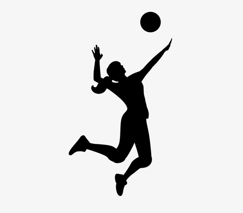 Vector Free Library Free Image On Pixabay Silhouette - Qatar Sports Day 2018, transparent png