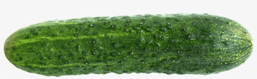 Free Png Cucumber Png Images Transparent - Cucumber Png, transparent png