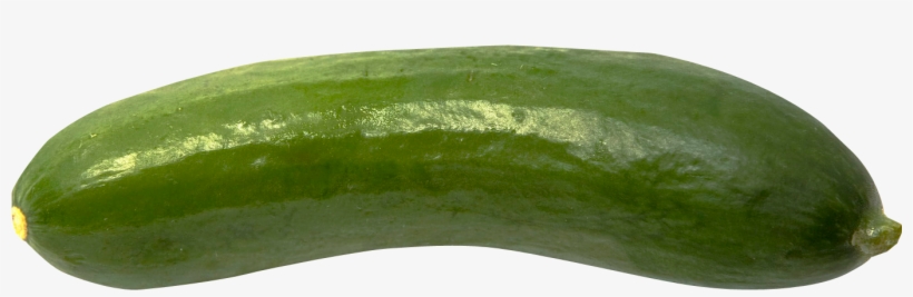Free Png Cucumber Png Images Transparent - Cucumber Png, transparent png