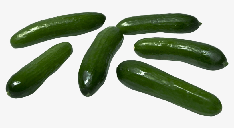 Download Cucumber Png Image - Cucumber, transparent png
